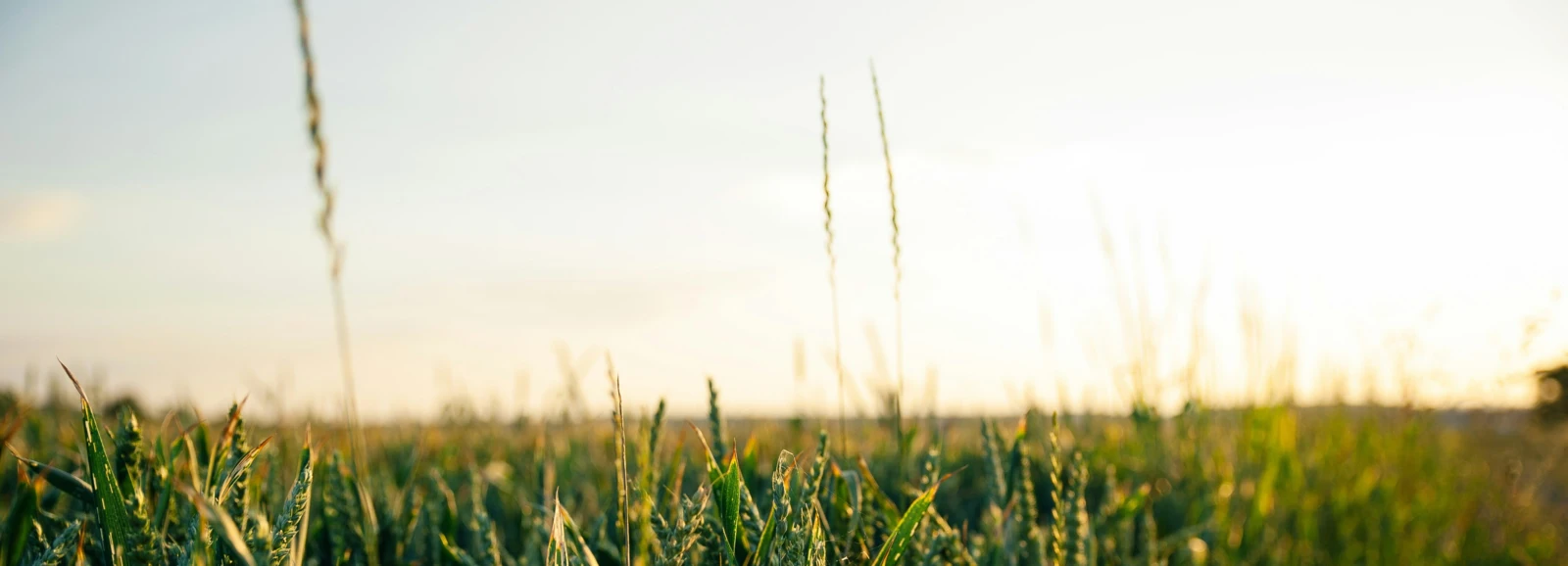 Sustainable by design. Proven in operation.