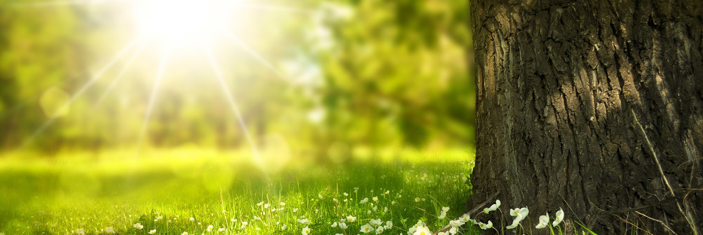Sommaröppet på Swegon Sverige