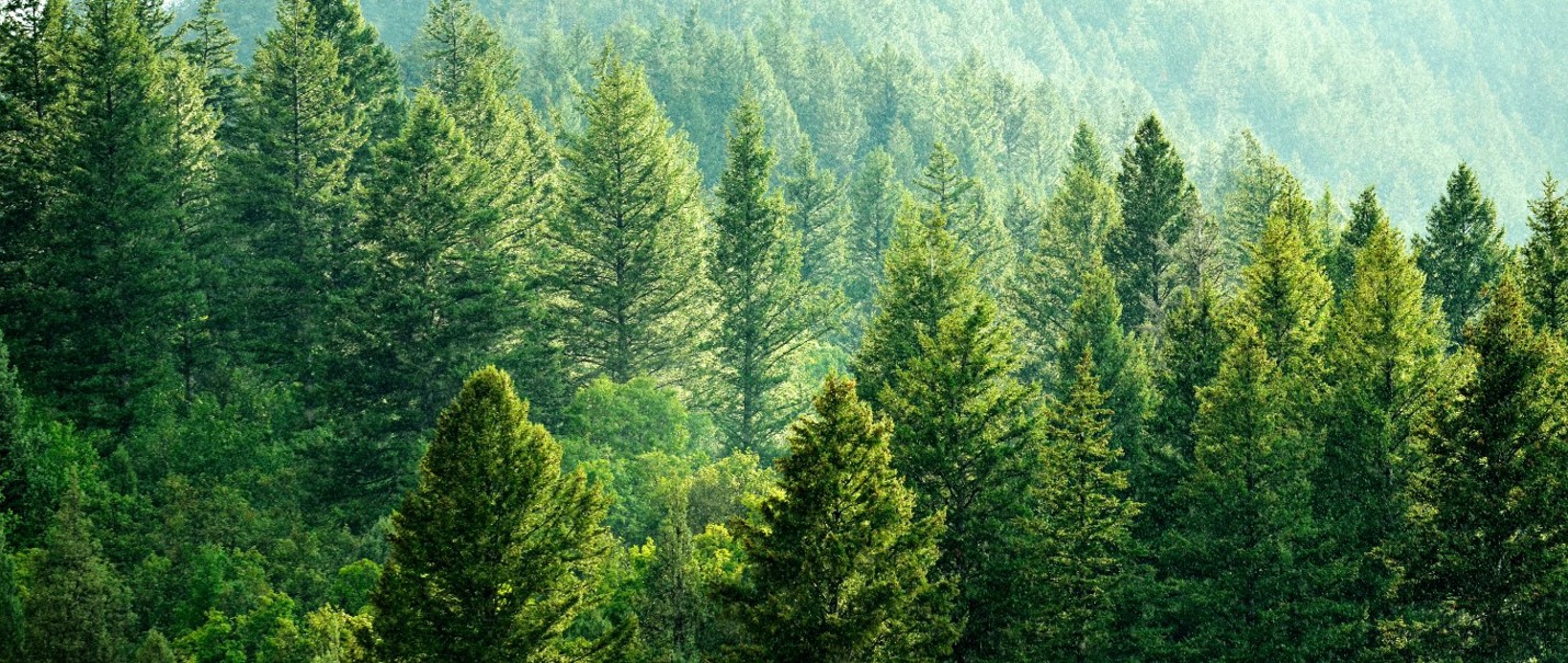EPD/LCA - Choosing products based on reliable environmental data